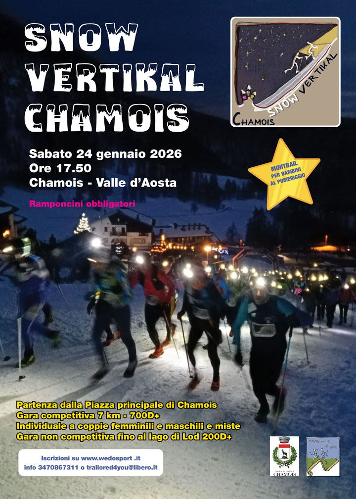 Snow Vertical Chamois